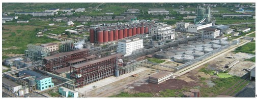 J9集团|国际站官网