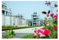 J9集团|国际站官网